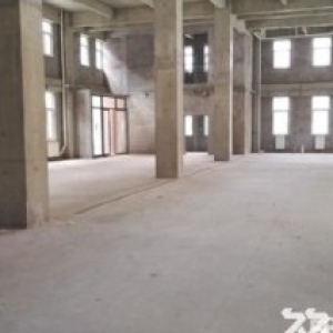 市级园区独栋厂房出租、有产权、可分租 、有货梯&