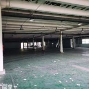 正规园区厂房，手续齐全可生产研发办公