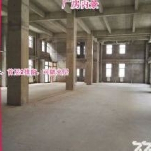 【生产型企业首选】售滨海新区8.1米层高厂房 大