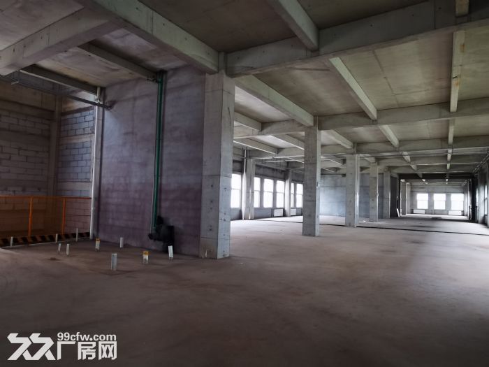 滨海科技园2层独栋厂房首层8.1米，大产权可贷款可环评-图4