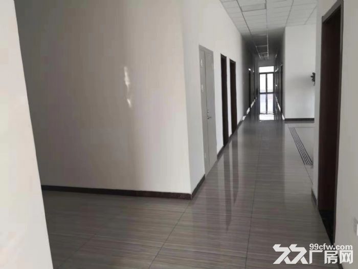 出租可焊接可喷漆正规园区单层厂房可直接生产行业限制宽松-图6