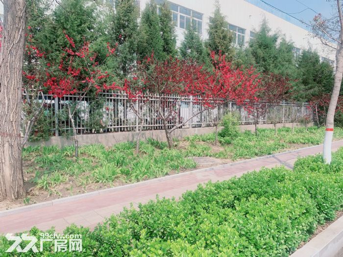 高速口500平米 生产厂房 有食堂 办公 住宅区-图2