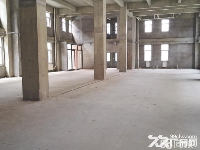 市级园区独栋厂房出租、有产权、可分租 、有货梯 业态不限 厂办一体-图2