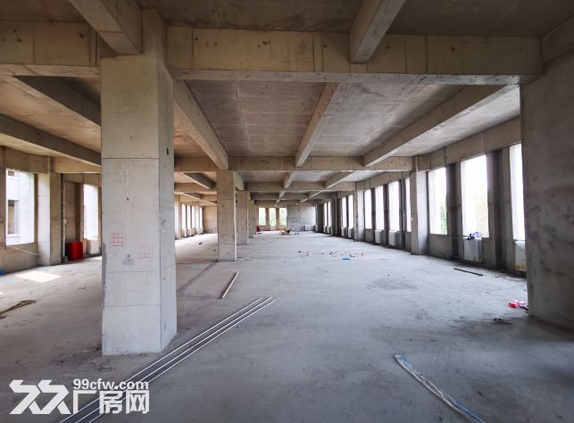 出售：医药食品2层厂房，可贷款可环评，大产权-图3
