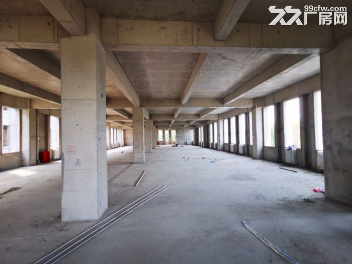 出售;仪器仪表2层厂房，可贷款可环评-图4