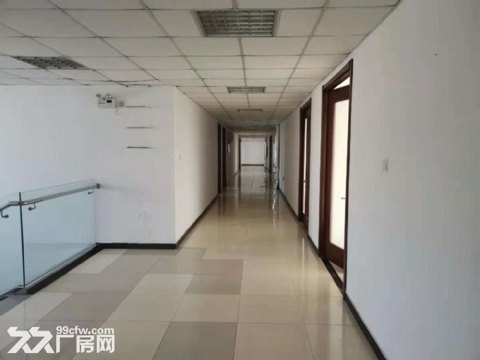 出售滨海新区大产权独栋等厂房可贷款可环评-图5