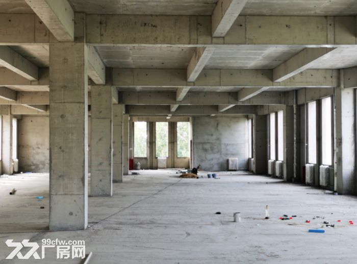 出售：医疗器械2层厂房，可贷款可环评，大产权-图5