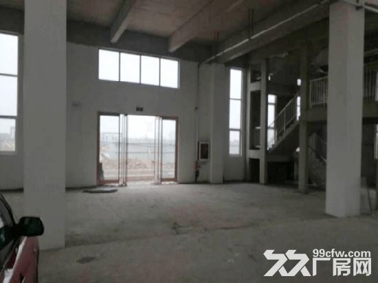 出租汉沽临津产业园单层钢混框架标准化厂房-图4